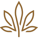 Kivaconfections logo
