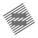 Parity logo