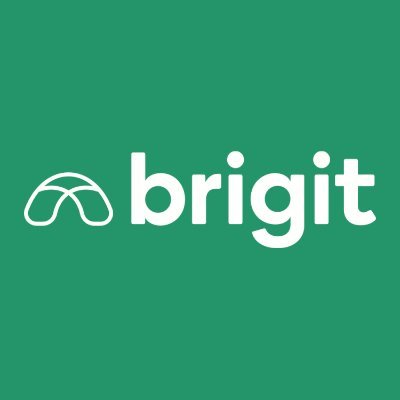 Brigit logo